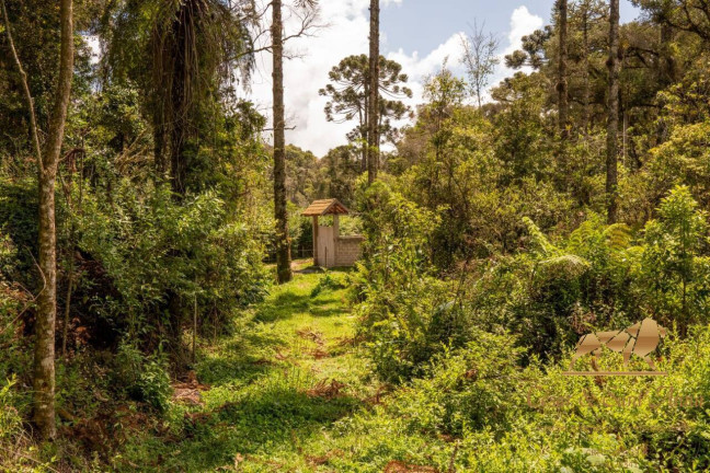 Imagem Terreno à Venda, 3.132 m² em Campos Do Jordão