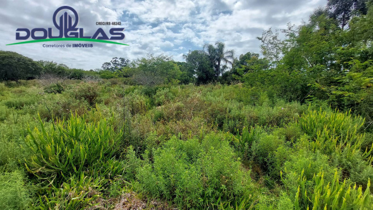 Imagem Chácara à Venda, 20.000 m² em águas Claras - Viamão