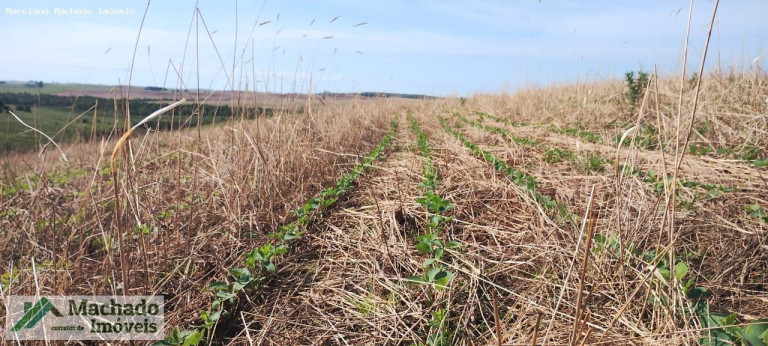 Imagem Imóvel à Venda, 142 m² em Rural - Rosário Do Sul