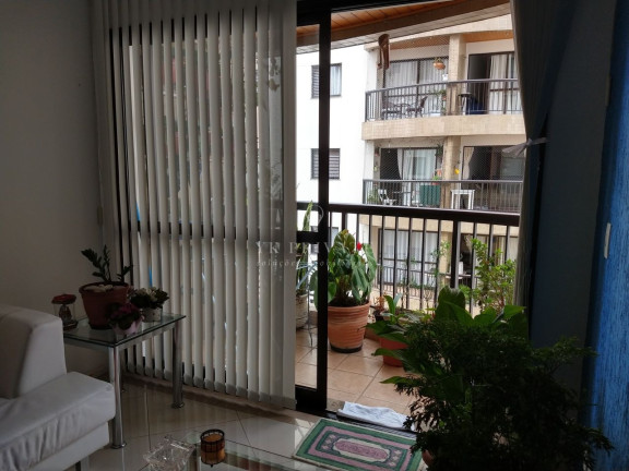 Imagem Apartamento com 4 Quartos à Venda, 80 m² em Mandaqui - São Paulo