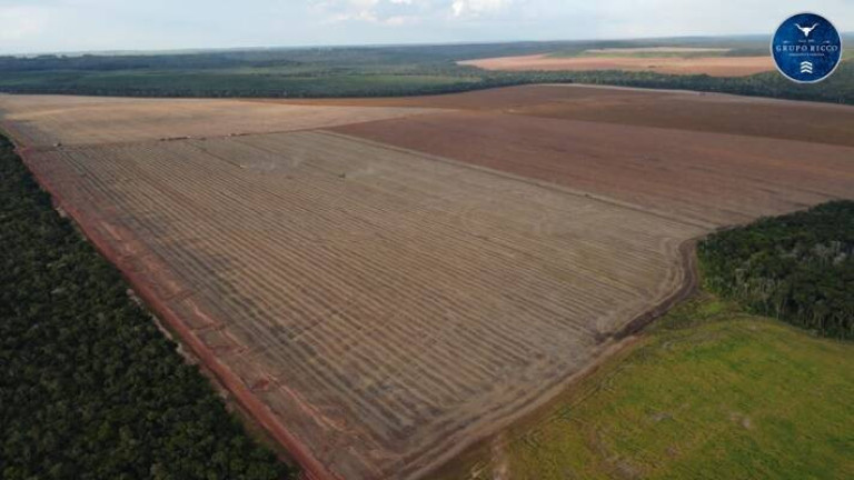 Imagem Fazenda à Venda, 6 m² em Zona Rural - Nova Mutum