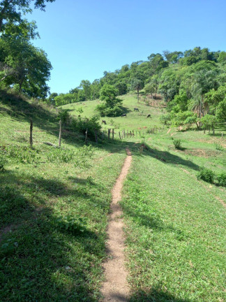 Imagem Chácara à Venda, 6 m² em Zona Rural - Taquaral De Goiás