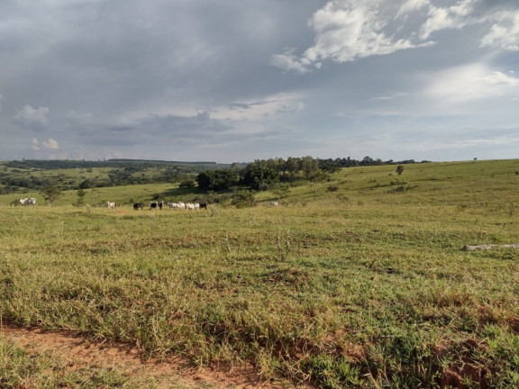 Imagem Imóvel à Venda, 10 m² em área Rural De Avaí - Avaí