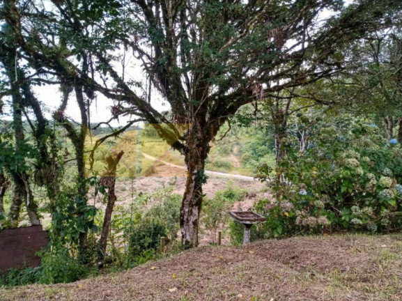 Imagem Fazenda à Venda, 64.288 m² em Barra Avencal - Rio Dos Cedros