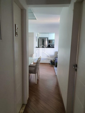 Imagem Apartamento com 3 Quartos à Venda, 70 m² em Santa Teresinha - São Paulo