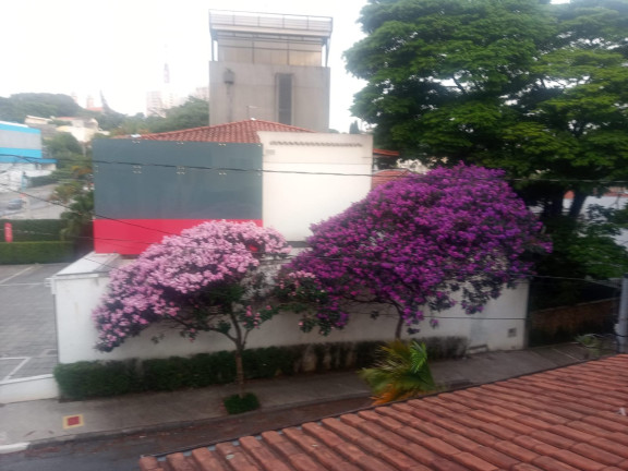 Imagem Sobrado com 3 Quartos à Venda,  em Vila Madalena - São Paulo