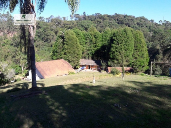 Imagem Fazenda à Venda, 198.000 m² em Vila Darci Penteado - São Roque