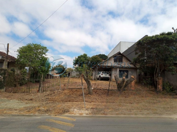 Imagem Terreno à Venda, 1.200 m² em Weissópolis - Pinhais