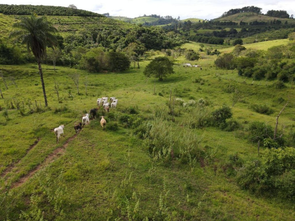 Imagem Fazenda à Venda, 4.300.000 m² em Zona Rural - Poços De Caldas