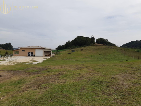 Imagem Imóvel à Venda, 10.000 m² em Centro - Campo Magro