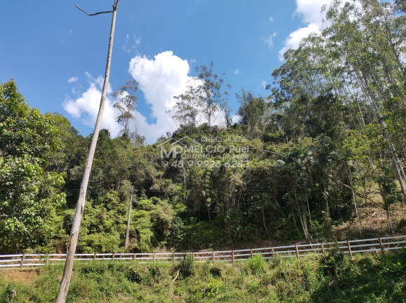 Imagem Imóvel à Venda,  em Ribeirão Da Velha - Nova Trento