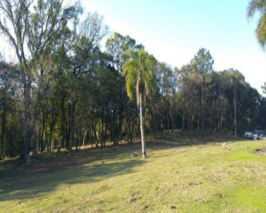 Imagem Imóvel com 2 Quartos à Venda, 110 m² em Fazenda Pirajá - Nova Petrópolis