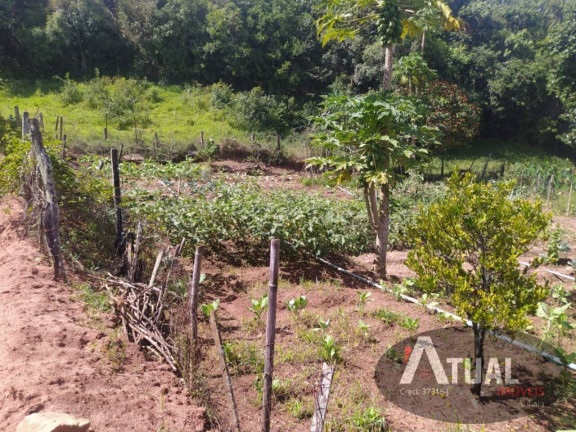 Imagem Chácara com 5 Quartos à Venda, 300 m² em Jardim Colonial - Atibaia