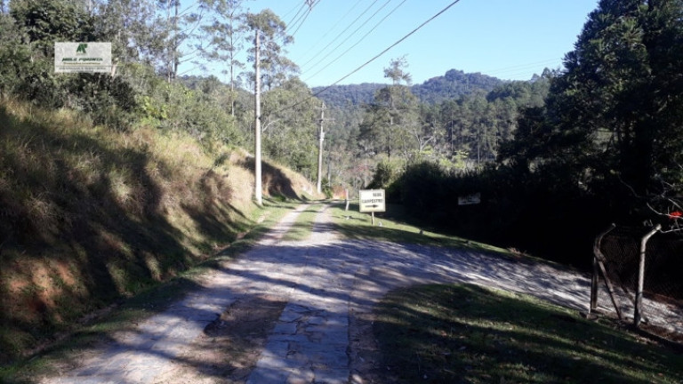 Imagem Terreno à Venda, 1.400 m² em Caete (mailasqui) - São Roque