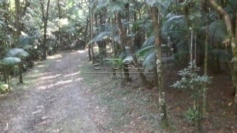 Imagem Fazenda à Venda, 22.800 m² em Vitalinos - Juquitiba