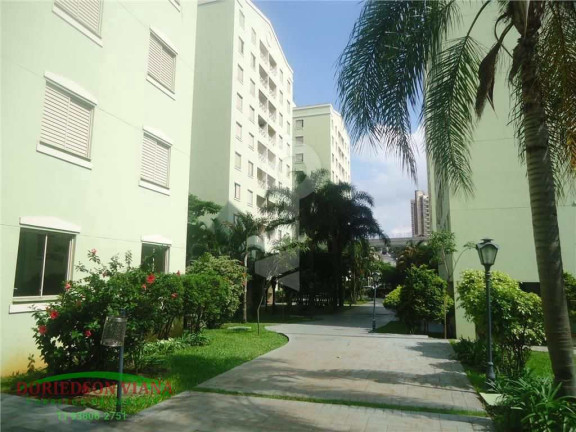 Imagem Apartamento com 3 Quartos à Venda, 64 m² em Vila Graciosa - São Paulo