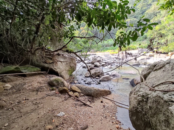 Imagem Imóvel à Venda,  em São Valemtim - Nova Trento