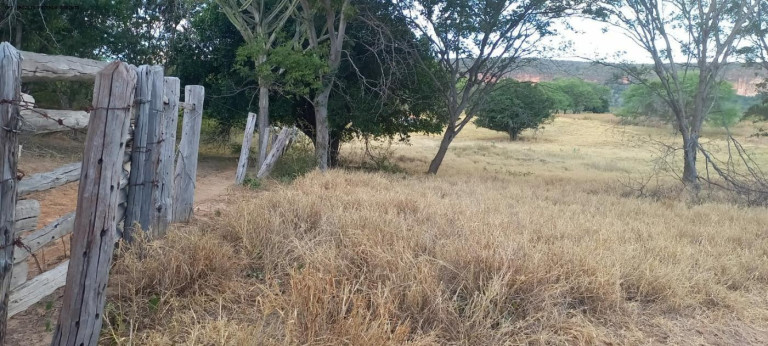 Imagem Fazenda à Venda, 950 m² em Zona Rural - Verdelândia