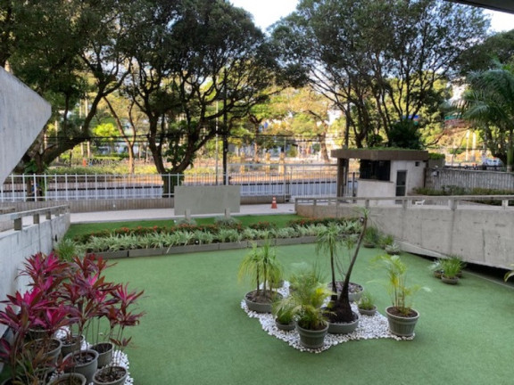 Imagem Apartamento com 4 Quartos à Venda, 260 m² em Campo Grande - Salvador