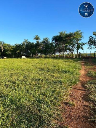 Imagem Chácara à Venda, 39 m² em Zona Rural - Guapó