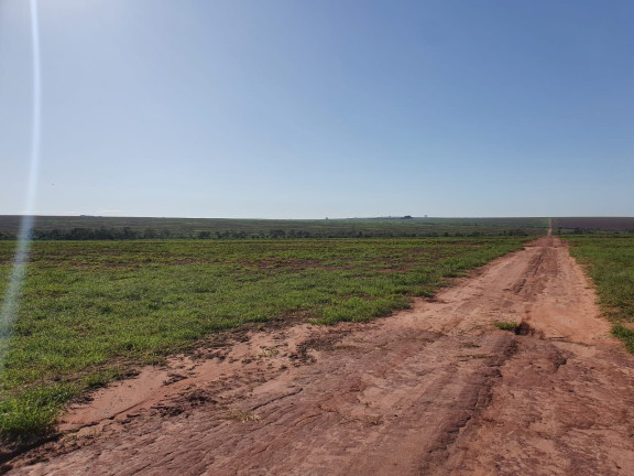 Imagem Fazenda à Venda, 14.530.000 m² em Zona Rural - Navirai