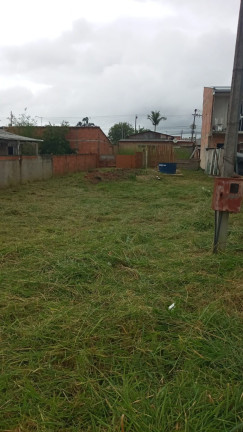 Imagem Terreno à Venda, 293 m² em Iguaçu - Fazenda Rio Grande