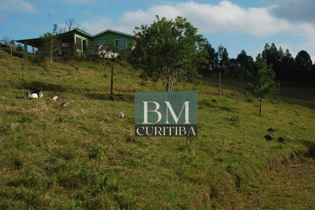 Imagem Chácara com 2 Quartos à Venda, 135 m² em Imbuial - Campina Grande Do Sul
