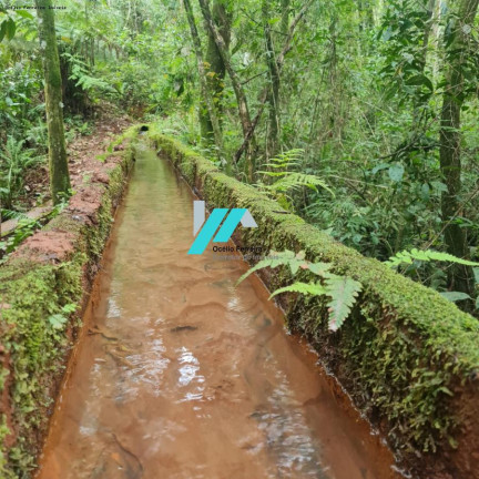 Imagem Fazenda à Venda, 30.000 m² em Centro - Itatiaiuçu