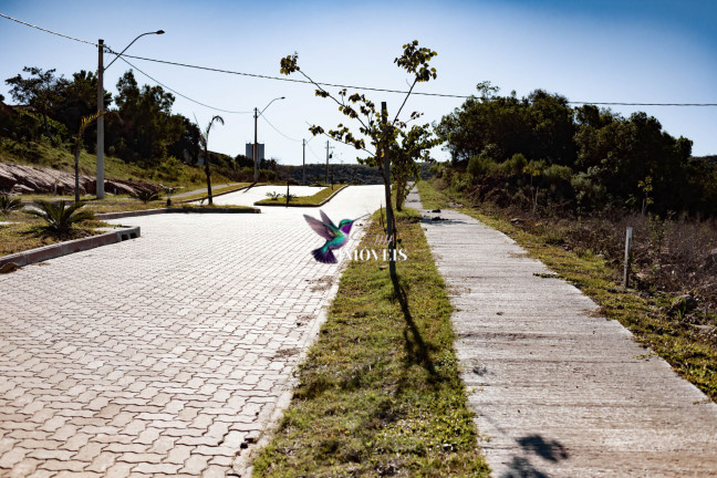 Imagem Terreno à Venda, 332 m² em Planalto - Santana Do Livramento