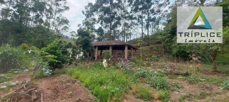 Imagem Fazenda à Venda, 1.910.000 m² em Rural - Lima Duarte