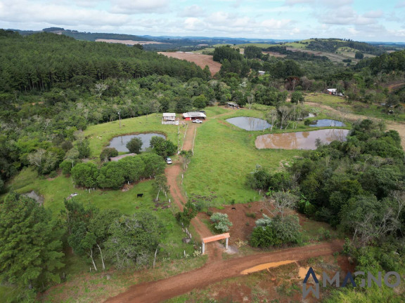 Imagem Chácara com 4 Quartos à Venda, 48 m² em Guaraniaçu