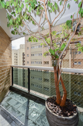 Imagem Apartamento com 3 Quartos à Venda, 90 m² em Vila Uberabinha - São Paulo