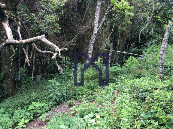 Imagem Fazenda à Venda, 140.000 m² em Zona Rural - Delfim Moreira