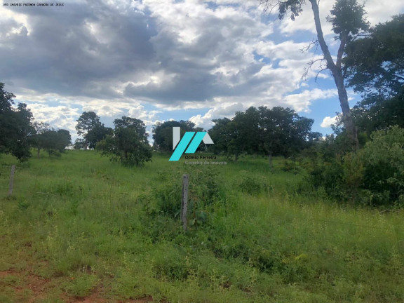 Imagem Fazenda à Venda, 480 m² em Zona Rural - Coração De Jesus