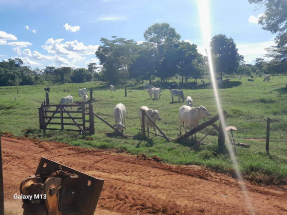 Imagem Chácara à Venda, 5 m² em Zona Rural - Montes Claros De Goiás