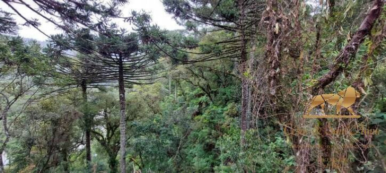 Imagem Terreno à Venda, 5.170 m² em Descansópolis - Campos Do Jordão