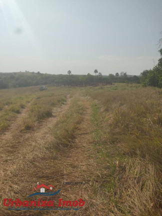 Imagem Fazenda à Venda, 1 m² em Camapuã