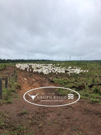 Imagem Fazenda à Venda, 23 m² em Zona Rural - Aripuanã