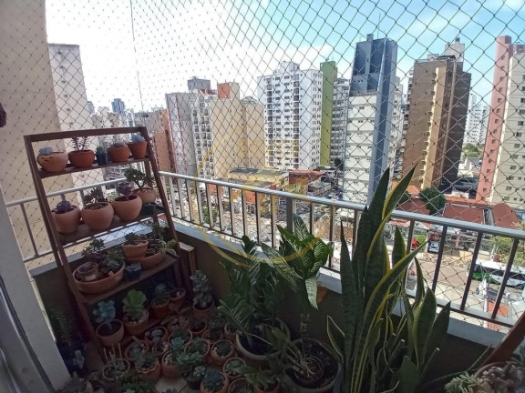 Imagem Apartamento com 2 Quartos à Venda, 86 m² em Cambuí - Campinas