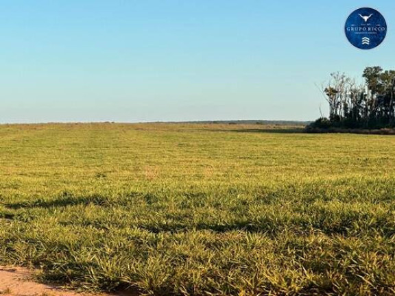 Imagem Fazenda à Venda, 6 m² em Zona Rural - Nova Mutum