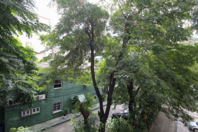 Imagem Imóvel com 3 Quartos à Venda, 120 m² em Laranjeiras - Rio De Janeiro