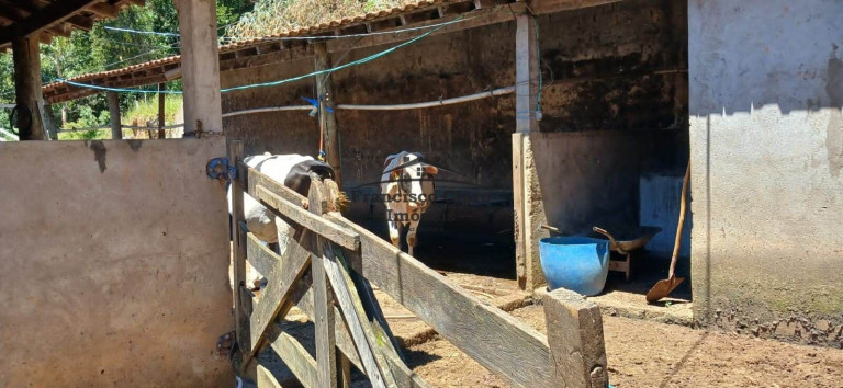 Imagem Imóvel à Venda, 1.600 m² em Campos Novos - Cunha