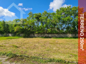 Terreno à Venda, 250 m² em Recreio Dos Bandeirantes - Rio De Janeiro