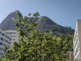 Apartamento com 2 Quartos à Venda, 97 m² em Humaitá - Rio De Janeiro