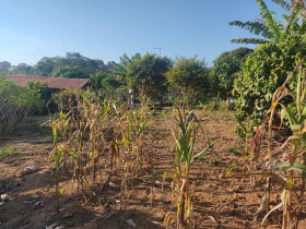 Chácara com 2 Quartos à Venda, 1.600 m² em Itarassú - Capela Do Alto