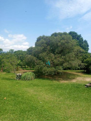 Fazenda à Venda, 180 m² em Guaratiba - Rio De Janeiro