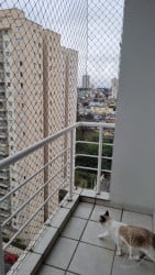 Apartamento com 2 Quartos à Venda, 76 m² em Vila Progresso - Guarulhos