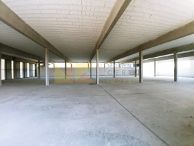 Galpão para Alugar, 2.000 m² em Velha Central - Blumenau