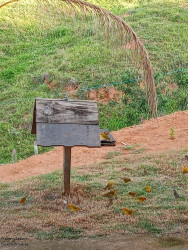 Imóvel com 2 Quartos à Venda, 90 m² em Zona Rural - Caldas