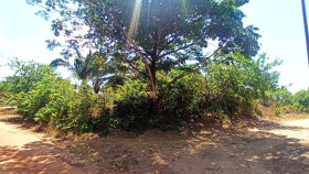 Terreno à Venda, 750 m² em Marapanim
